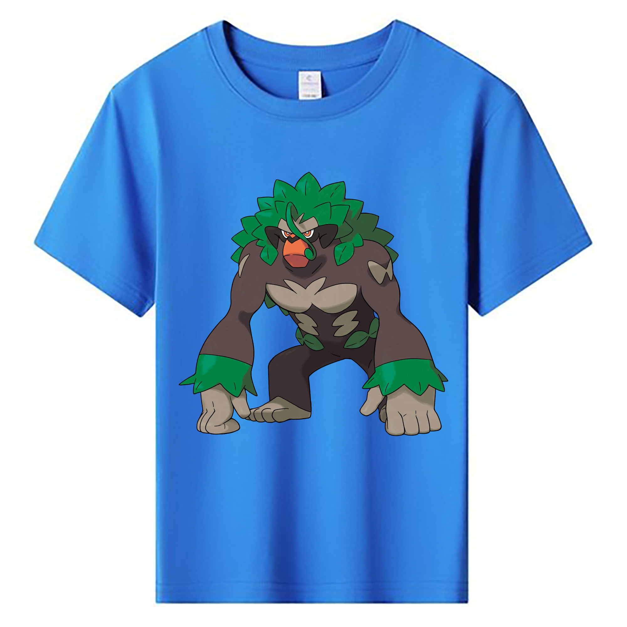 （画像用） ポケットモンスター Pokémon 綿100％キッズTシャツ（フロントプリント）